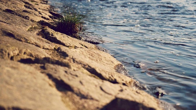 /detail/11025.html
