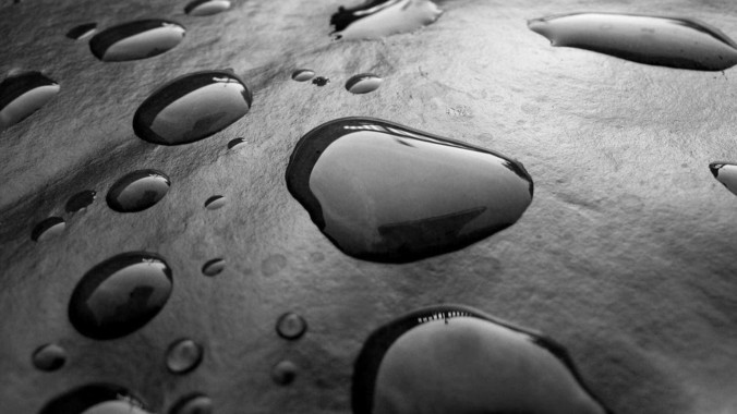 /detail/12221.html